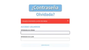 Cómo recuperar tu contraseña en la tienda online de Souvenirs Import Export