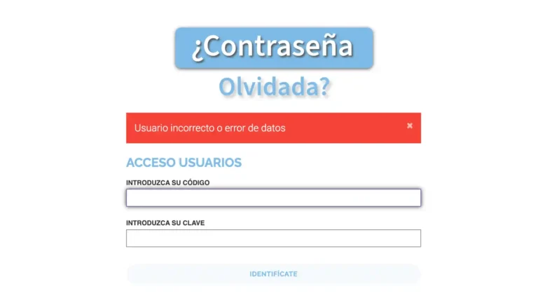 Cómo recuperar tu contraseña en la tienda online de Souvenirs Import Export