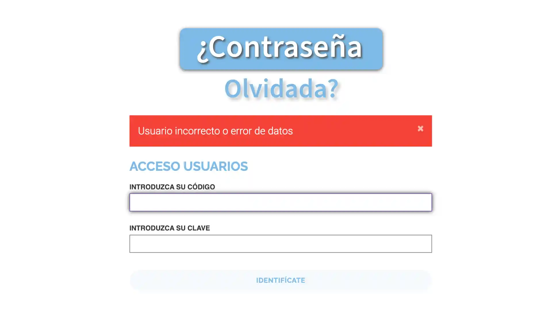 Cómo recuperar tu contraseña en la tienda online de Souvenirs Import Export